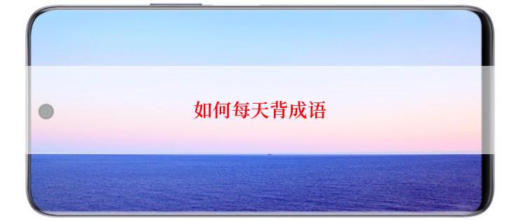 如何每天背成语