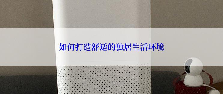 如何打造舒适的独居生活环境