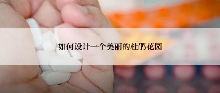 如何设计一个美丽的杜鹃花园