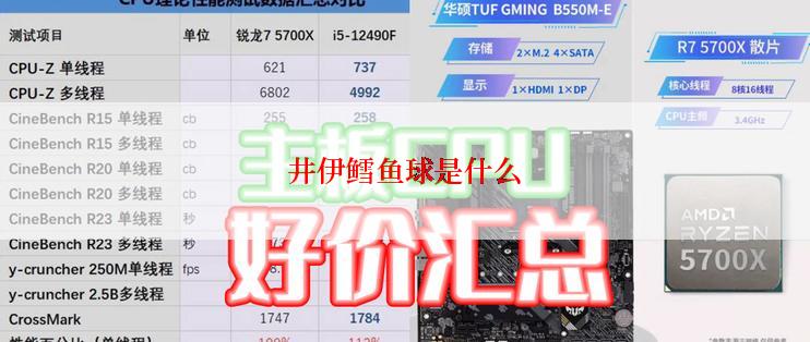 井伊鳕鱼球是什么