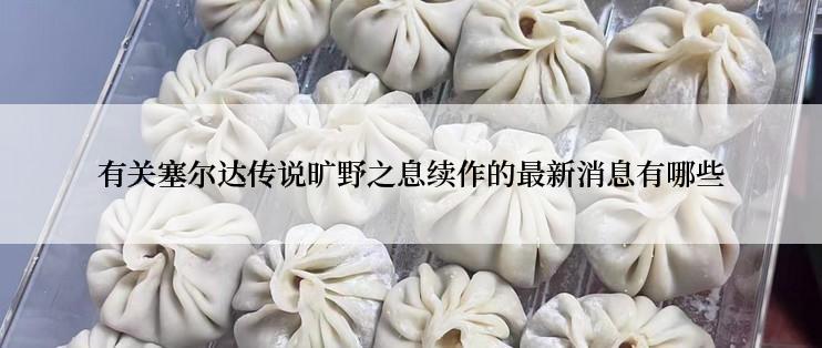 有关塞尔达传说旷野之息续作的最新消息有哪些