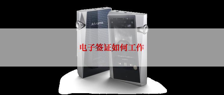 电子签证如何工作