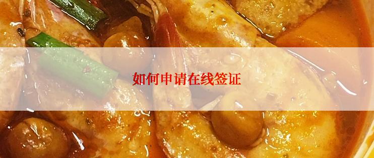 如何申请在线签证