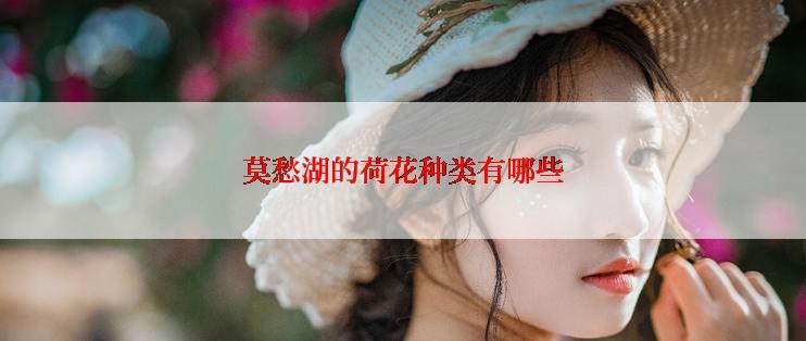 莫愁湖的荷花种类有哪些