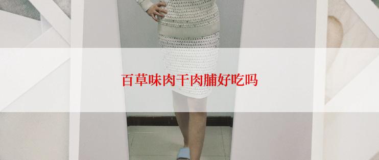 百草味肉干肉脯好吃吗