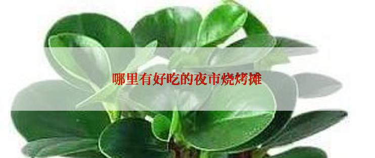 哪里有好吃的夜市烧烤摊