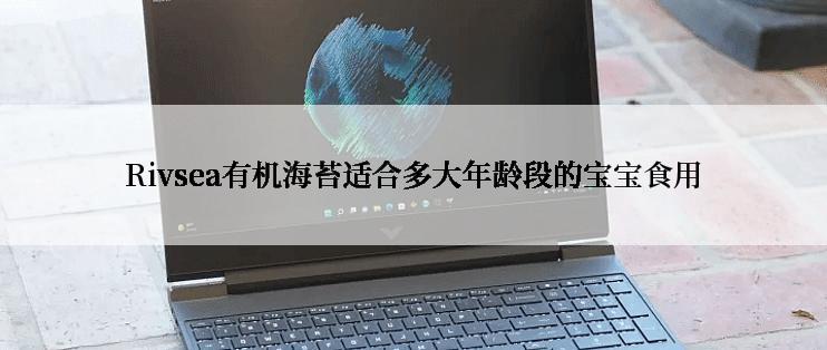 Rivsea有机海苔适合多大年龄段的宝宝食用