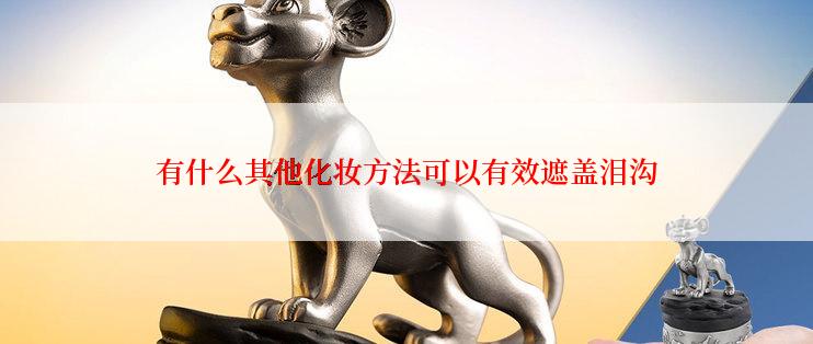 有什么其他化妆方法可以有效遮盖泪沟