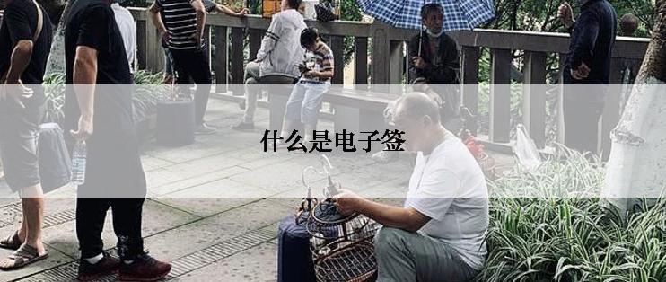 什么是电子签