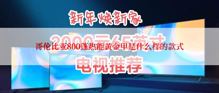 哥伦比亚800蓬热能黄金甲是什么样的款式