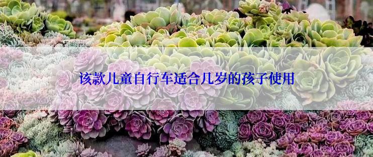 该款儿童自行车适合几岁的孩子使用