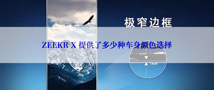 ZEEKR X 提供了多少种车身颜色选择
