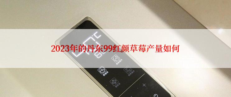 2023年的丹东99红颜草莓产量如何