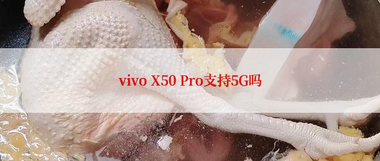 vivo X50 Pro支持5G吗