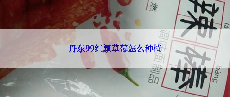 丹东99红颜草莓怎么种植