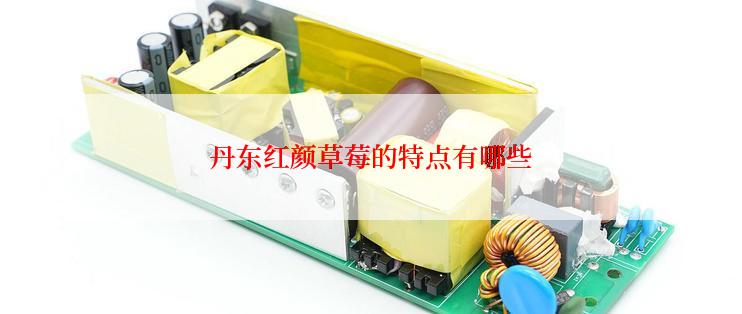 丹东红颜草莓的特点有哪些