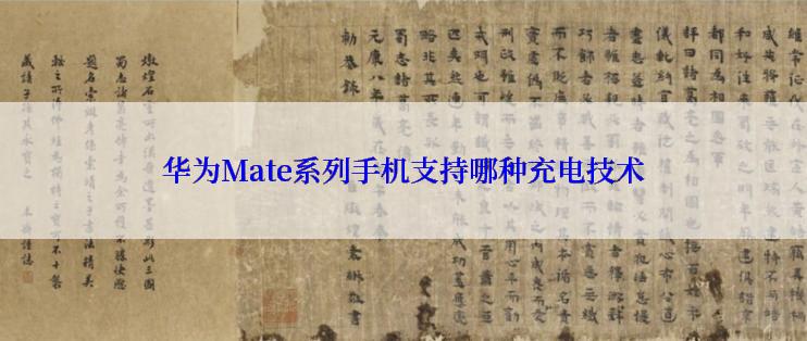 华为Mate系列手机支持哪种充电技术