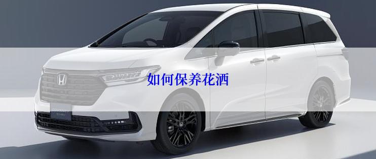 如何保养花洒