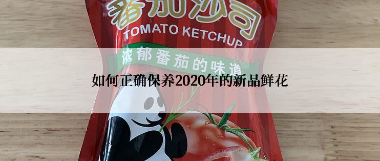 如何正确保养2020年的新品鲜花