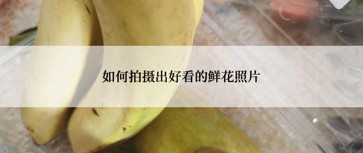 如何拍摄出好看的鲜花照片