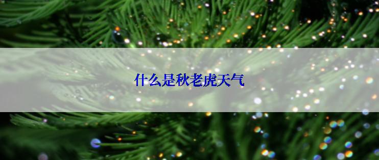 什么是秋老虎天气