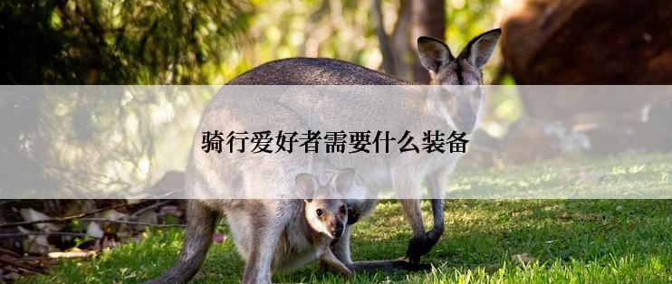 骑行爱好者需要什么装备