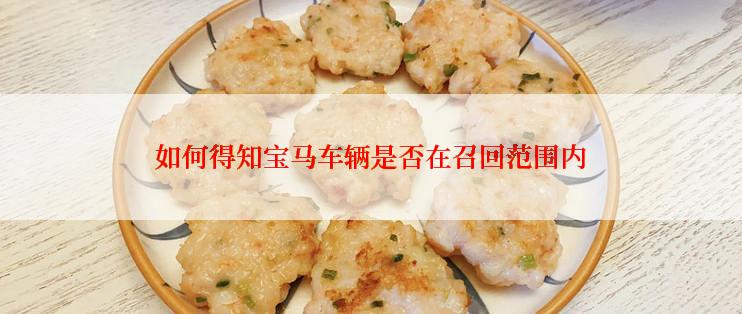 如何得知宝马车辆是否在召回范围内