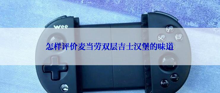 怎样评价麦当劳双层吉士汉堡的味道