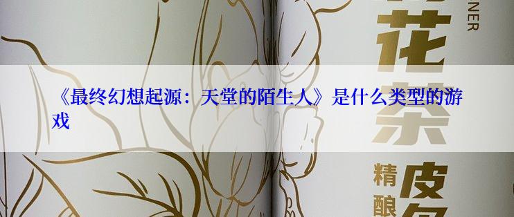 《最终幻想起源:天堂的陌生人》是什么类型的游戏