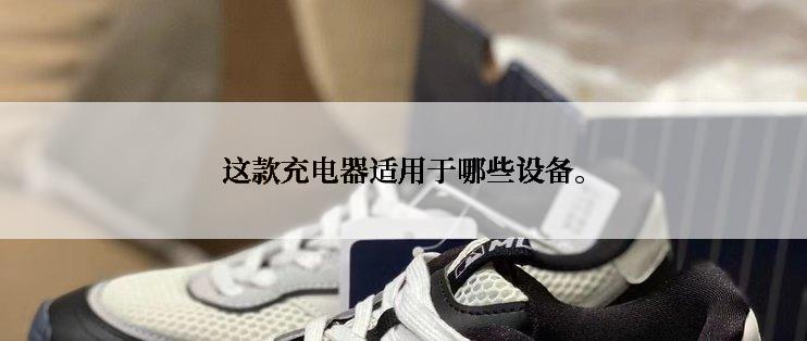 这款充电器适用于哪些设备。