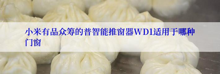 小米有品众筹的普智能推窗器WD1适用于哪种门窗