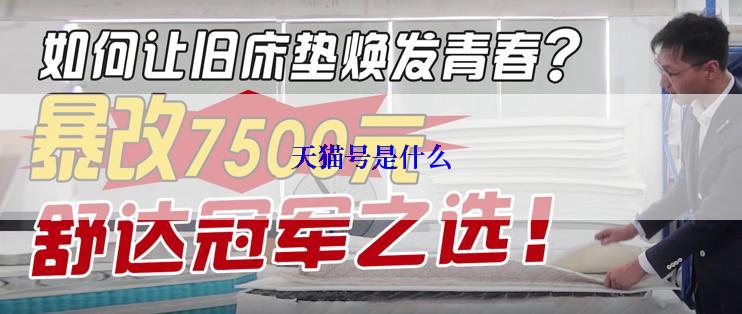 天猫号是什么