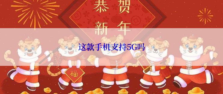 这款手机支持5G吗