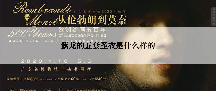 紫龙的五套圣衣是什么样的
