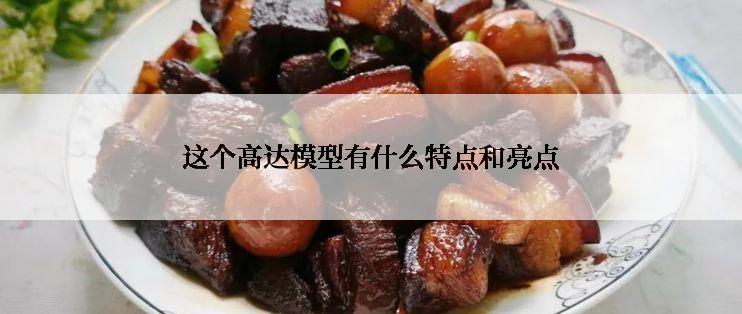 这个高达模型有什么特点和亮点