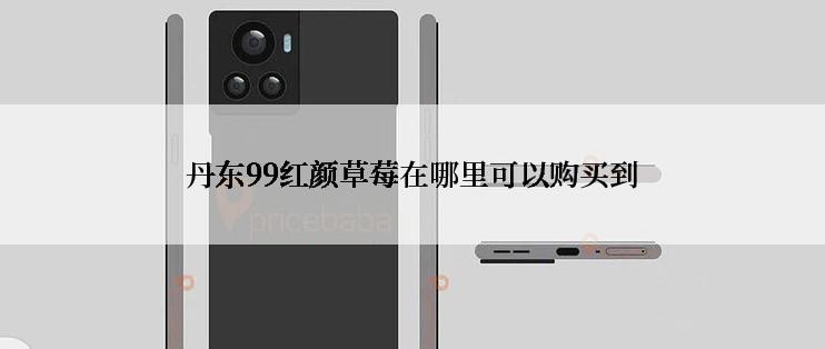 丹东99红颜草莓在哪里可以购买到