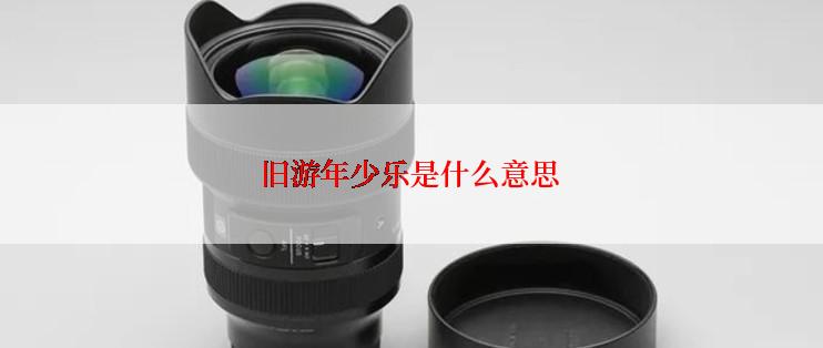 旧游年少乐是什么意思