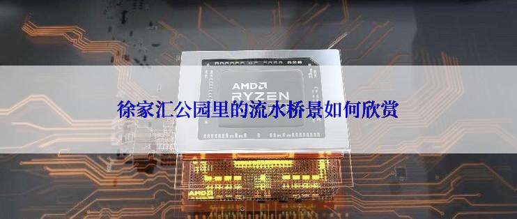 徐家汇公园里的流水桥景如何欣赏