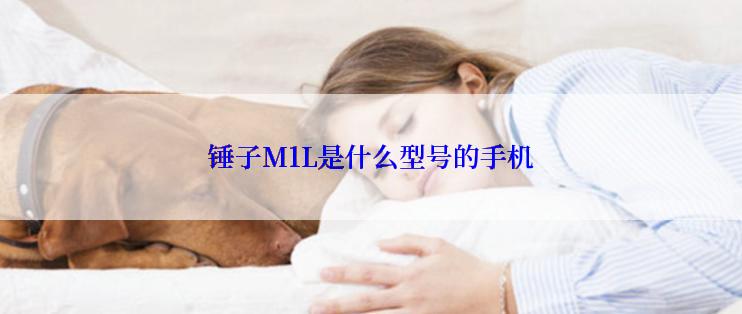 锤子M1L是什么型号的手机