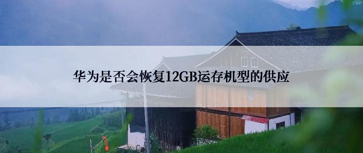 华为是否会恢复12GB运存机型的供应