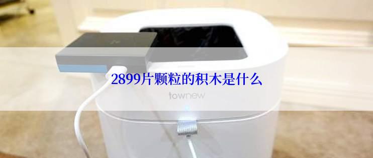 2899片颗粒的积木是什么