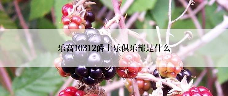 乐高10312爵士乐俱乐部是什么
