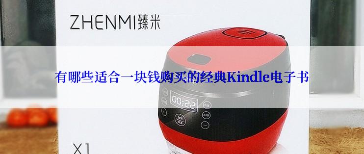 有哪些适合一块钱购买的经典Kindle电子书