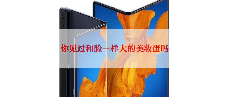 你见过和脸一样大的美妆蛋吗