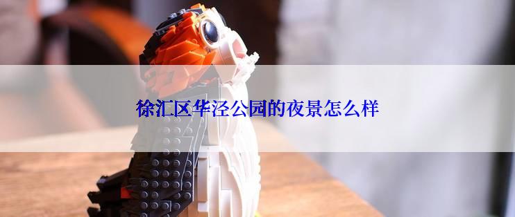 徐汇区华泾公园的夜景怎么样