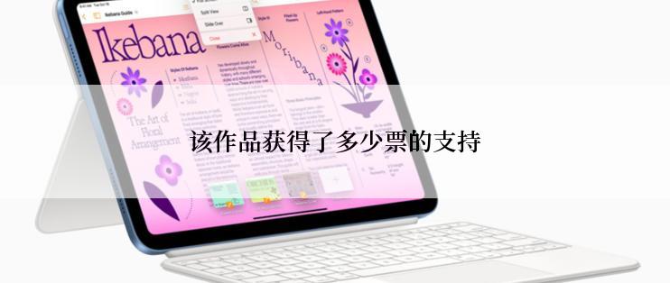 该作品获得了多少票的支持