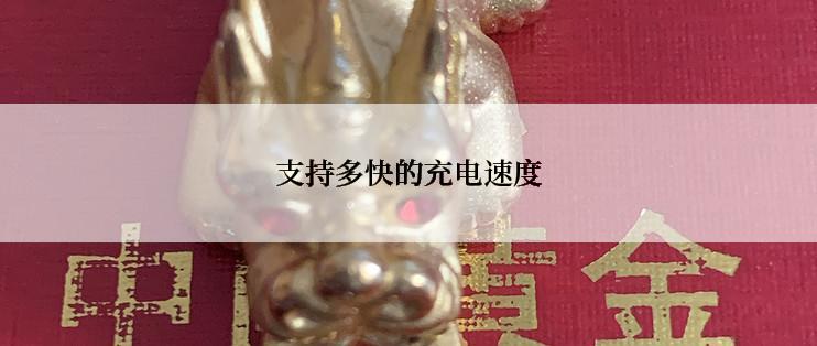 支持多快的充电速度