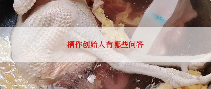 栖作创始人有哪些问答