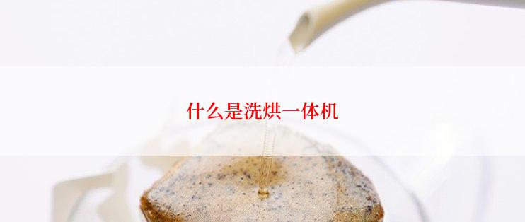 什么是洗烘一体机