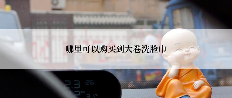 哪里可以购买到大卷洗脸巾